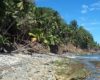 Andaman & Nicobar